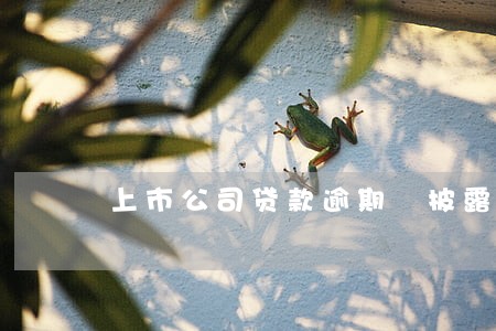 上市公司贷款逾期 披露 上市公司贷款逾期 披露